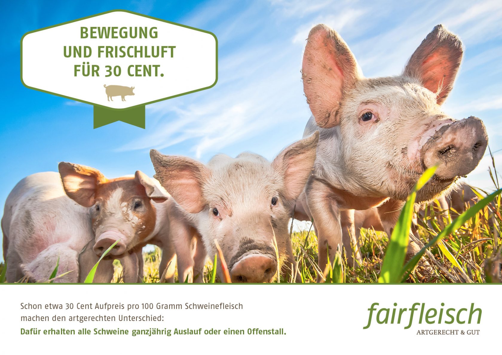 FAI_15_0370_30_Ct_Kampagne_01_01