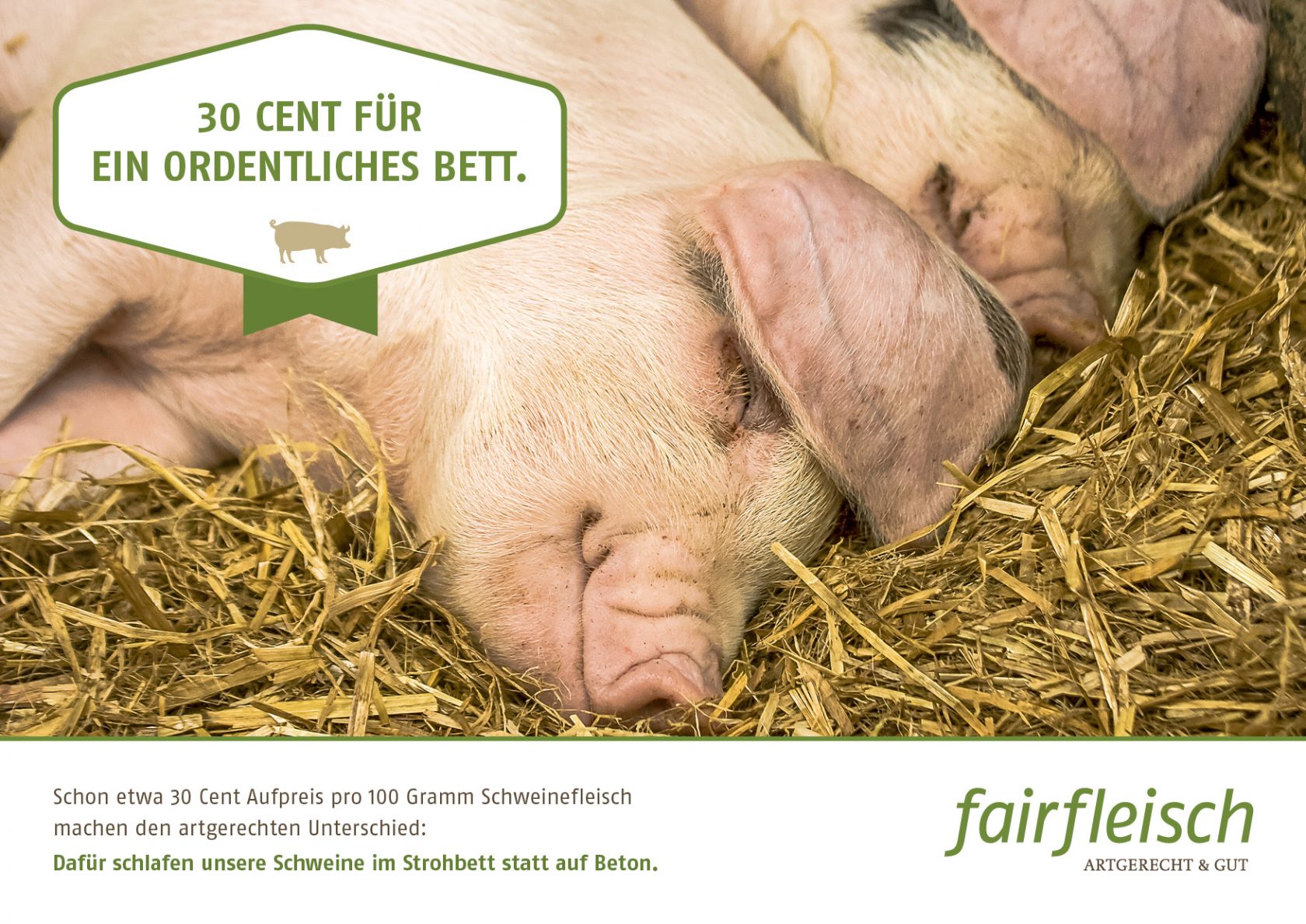 FAI_15_0370_30_Ct_Kampagne_01_03