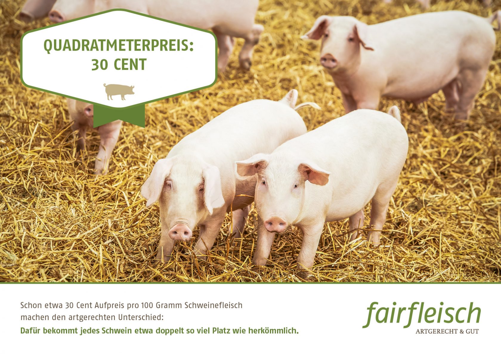 FAI_15_0370_30_Ct_Kampagne_01_04